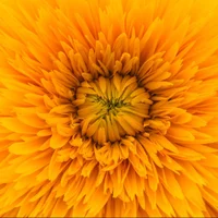 block image