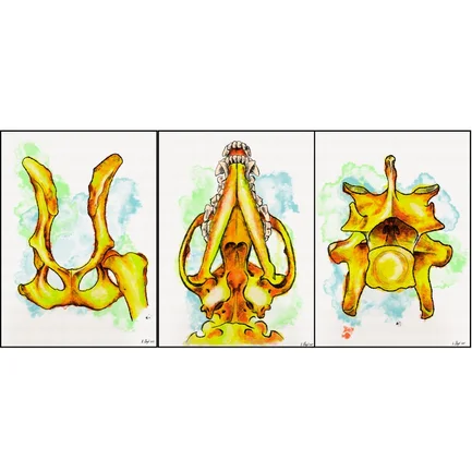 block image