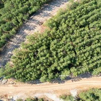 block image