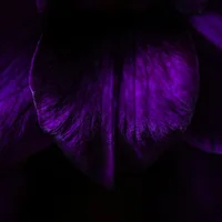block image
