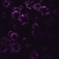block image