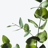 block image