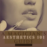 A Magician's Guide to Aesthetics 101
