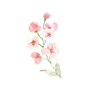 block image