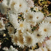 block image