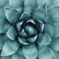 block image