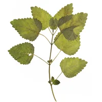 block image