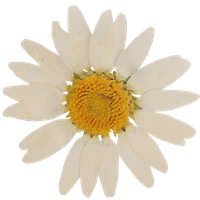 block image