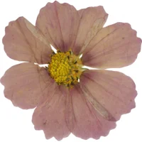 block image