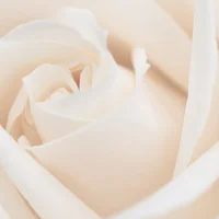 block image