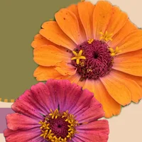 block image