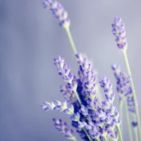 block image