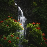 block image