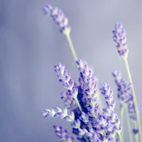 block image