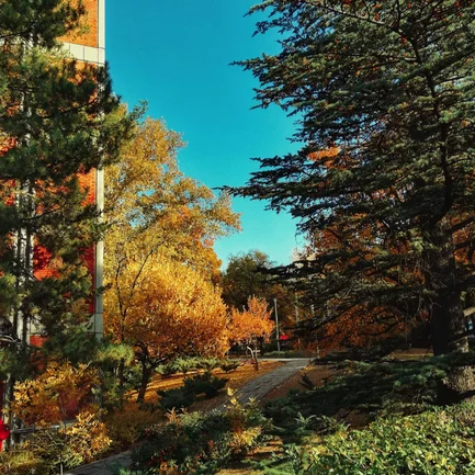 block image