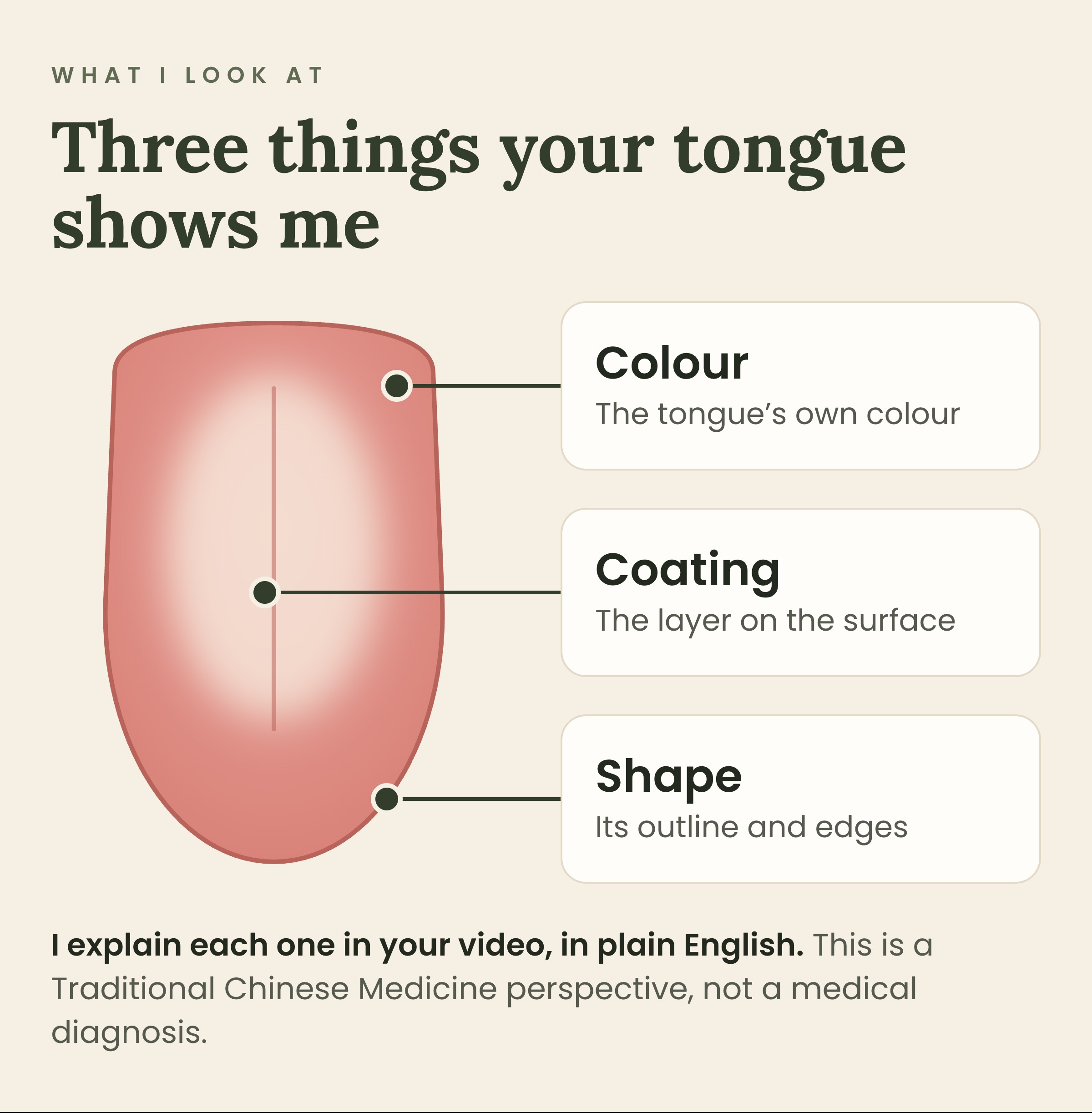 What I look at: three things your tongue shows me. Its colour, its coating and its shape. A Traditional Chinese Medicine perspective, not a medical diagnosis.
