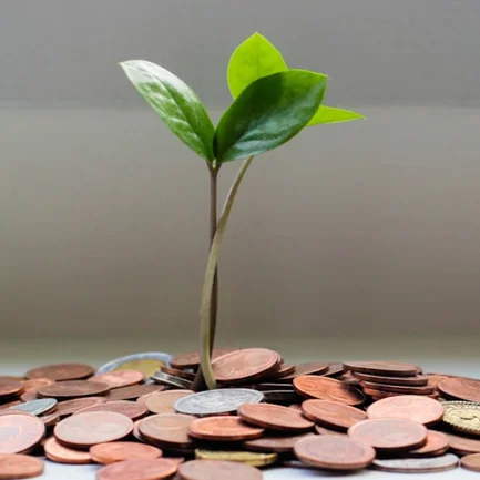 block image