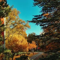 block image