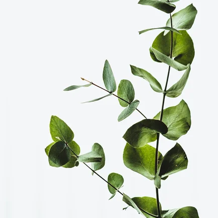 block image