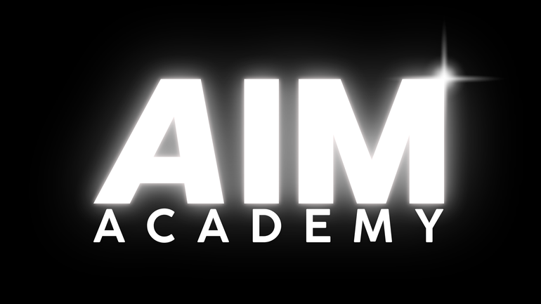 AIM Academy: The Ultimate AI Course by @edwinavoiceofai | Stan