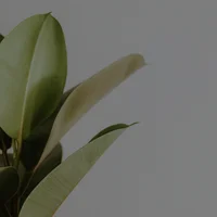 block image