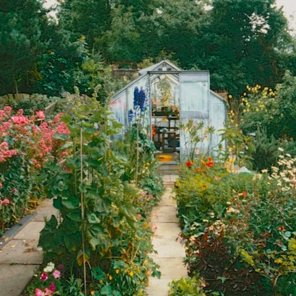 block image