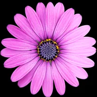 block image