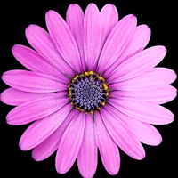 block image
