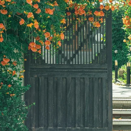 block image