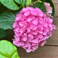 block image