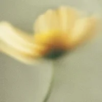 block image