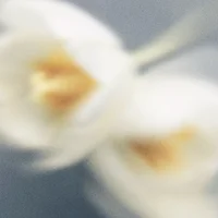 block image