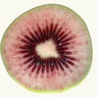 block image