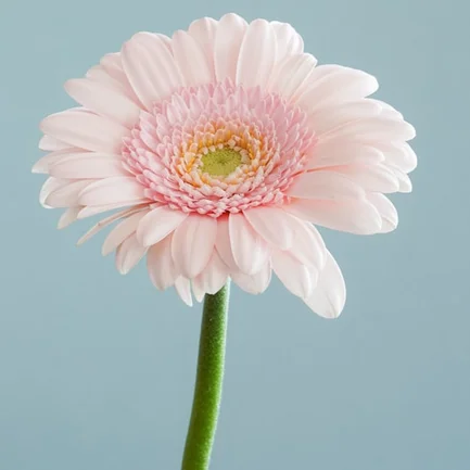 block image
