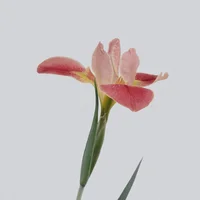 block image