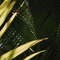 block image