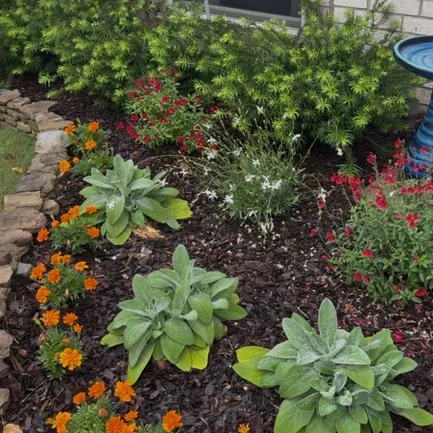 block image