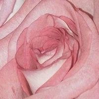 block image